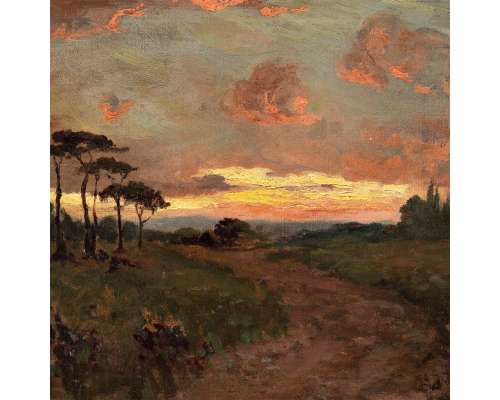 Avondhemel op een enorme heide.